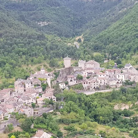 Rives Du Tarn *